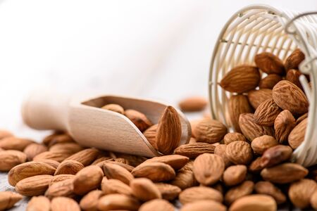 Almondsの写真素材