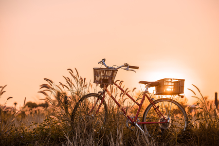 beautiful landscape image with Bicycle at sunsetの写真素材