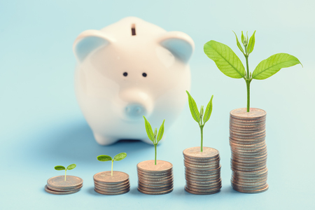 Money coin stack growing graph with blue pastel background,Plant growing on dollars gold coin.Business Finance and Money investment concept.の写真素材