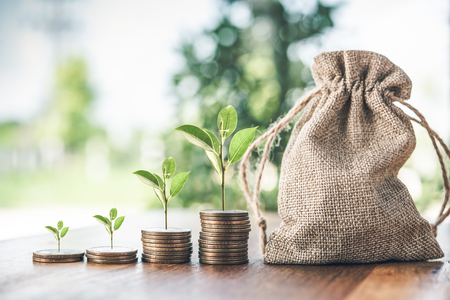 money coins arranged as a graph with sack on the table.tree growing on coin.の写真素材