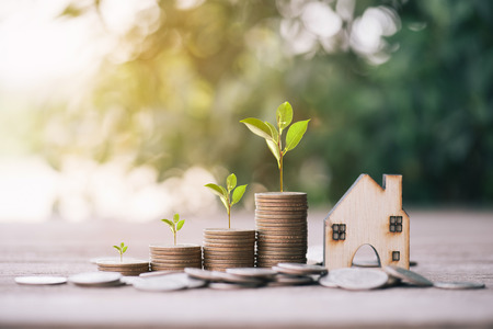 Money dollar coin stack growing graph with green bokeh background,investment concept.tree growing on...