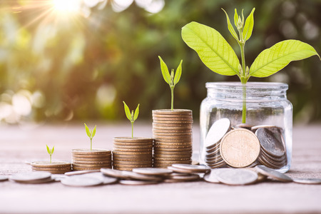 Close up of stacking gold dollars coins with Money in the jar tree growing on.The concept of saving...