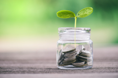 Plant Growing on money coins in jar with green nature background