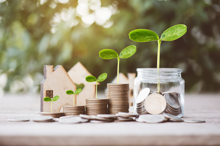 Plant Growing on gold dollars coins with Money in the jar on wooden table .The concept of saving...