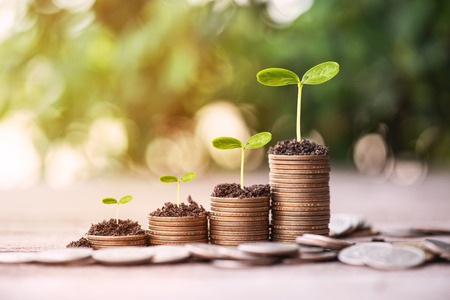 Money dollar coin stack growing graph with green bokeh background,investment concept.tree growing on...