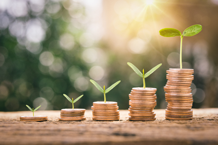Growing Money - Plant On Coins - Finance And Investment Conceptの写真素材