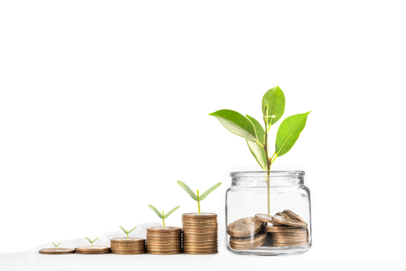 coins with seed in clear bottle on white background,Business investment growth concept,saving conceptの写真素材