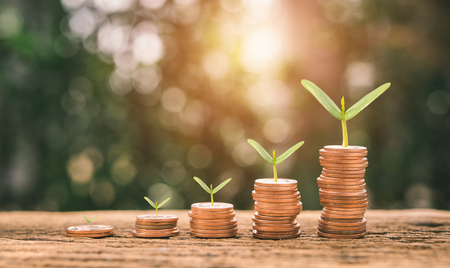Growing Money - Plant On Coins - Finance And Investment Conceptの写真素材