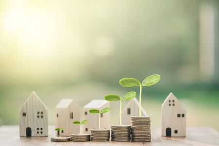 House model and stacking 1 US dollar coin.Business finance and Home loan concept.plant growing on coins.の写真素材