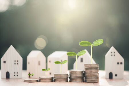 House model and stacking 1 US dollar coin.Business finance and Home loan concept.plant growing on coins.の写真素材