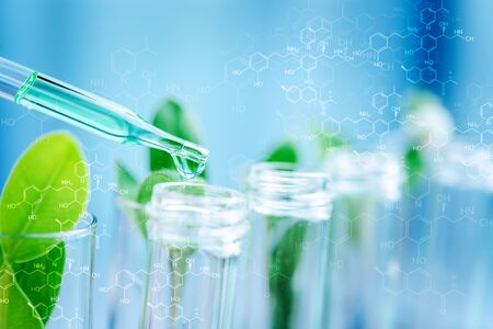 Dropper over test tube dropping sample chemical into sample herbal plaint , biotechnoloy research concept.Natural extractsの写真素材
