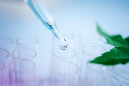 Dropper over test tube dropping sample chemical into sample herbal plaint , biotechnoloy research concept.Natural extractsの写真素材
