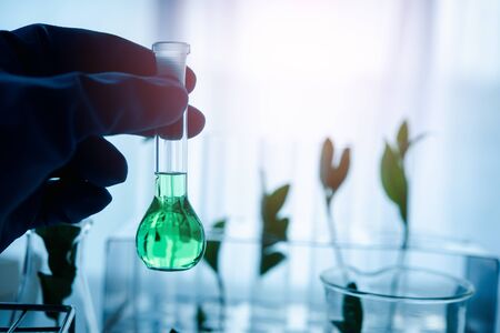 Scientist hand holding chemical flask with liquid.biotechnoloy research concept.Natural extractsの写真素材