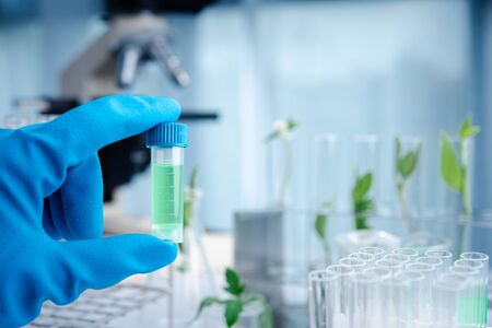 Scientist hand holding chemical flask with liquid. biotechnology research concept.Natural extractsの写真素材