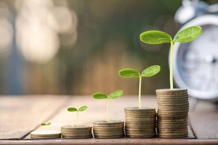 Money coin stack growing graph with sun light bokeh background,investment concept.plant growing on coin,Business Finance and Save Money conceptの写真素材