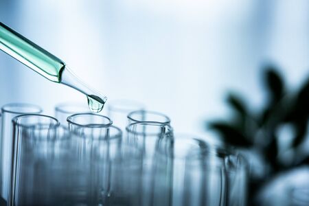 Dropper over test tube dropping sample chemical into sample herbal plaint , biotechnoloy research concept.Natural extractsの写真素材