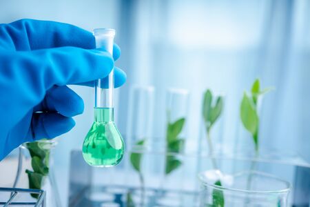 Scientist hand holding chemical flask with liquid.biotechnoloy research concept.Natural extractsの写真素材