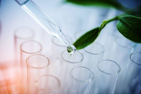 Dropper over test tube dropping sample chemical into sample herbal plaint , biotechnoloy research concept.Natural extractsの写真素材