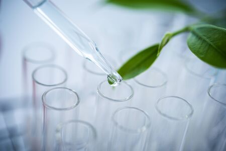 Dropper over test tube dropping sample chemical into sample herbal plaint , biotechnoloy research concept.Natural extractsの写真素材