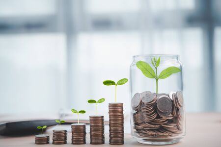 coins with seed in clear bottle, Business investment growth concept, saving conceptの写真素材