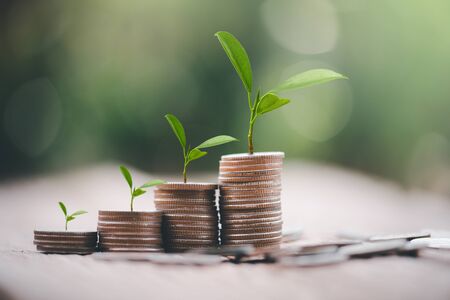 Money coin stack growing graph with green bokeh background,investment concept.tree growing on coin,Business Finance and Save Money conceptの写真素材