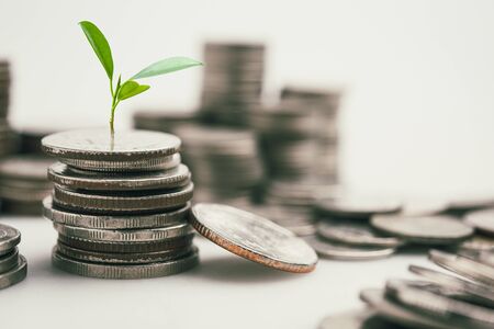 Money coin stack growing graph with green bokeh background,investment concept.tree growing on coin,Business Finance and Save Money conceptの写真素材