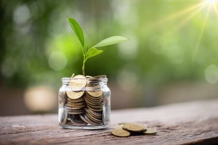 Plant growing in jar savings coins. business concept of saving and investment.の写真素材