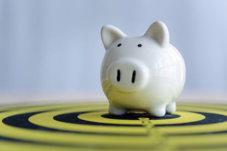 piggy bank on dartboard concept of saving money with a goal. set targets for saving money.の写真素材