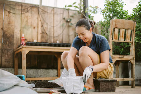 Asian woman Preparing the soil To plant trees at his house. Holiday activities by planting and caring for treesの写真素材