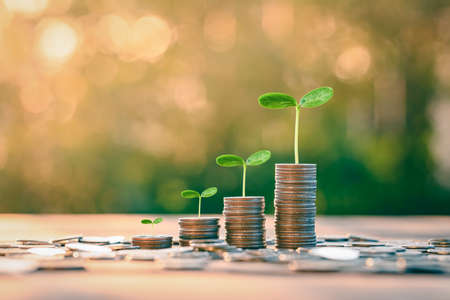 Growing Money, business finance and saving money investment , Money coin stack growing graph, plant growing up on coins. Balance savings and investment.の写真素材
