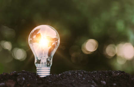 Light bulb glowing in soil as idea or energy concept, eco, green power, save energyの写真素材