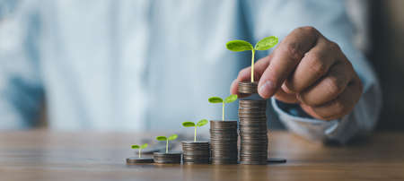 Growing Money, Plant On Coins, business finance and saving money investment concept, Businessman is...
