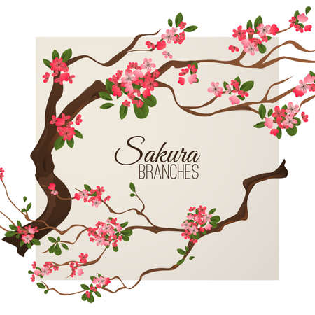 Realistic sakura japan cherry branch with blooming flowers vector illustrationのイラスト素材