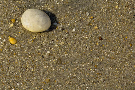 A rock in the sand