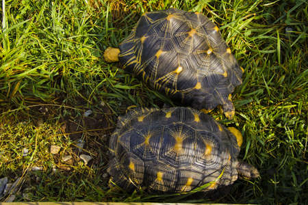 Fell in love and staying together foreverの写真素材