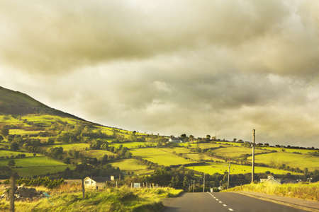 Green fields besides road with trees in summer at Northern Ireland UKの写真素材
