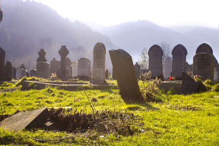 Old misty horror cemetery with dim lightの写真素材