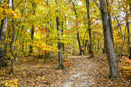 Hiking trail in autumn forest. Colorful foliage in the park.の写真素材