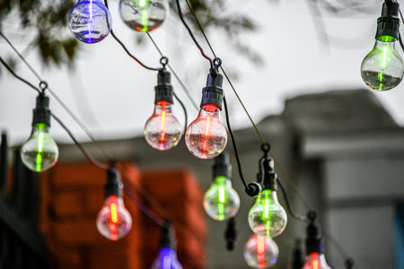 Colorful decorative light bulbs hanging on the tree in the garden.の写真素材