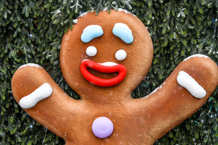 Gingerbread man on the background of Christmas trees and snow.の写真素材