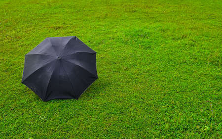 Stretched black umbrella placed on the lush meadows. Rain time.の写真素材
