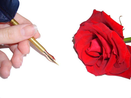 Rose and Quillの写真素材