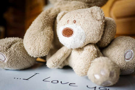 Mothers day greeting concepts with I love you Mom text and cute teddy,Top view on white board backgroundの写真素材