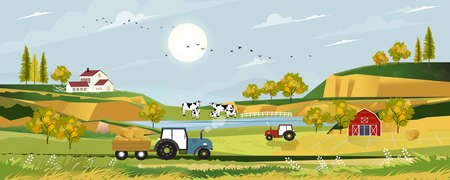 Spring landscape with sunrise view on harvested field with farmhouse, tractor, wood barn, cows and straw bales in the countryside,Panorama view of farmlands in sunny day summerのイラスト素材