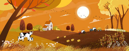 Vector Autumn landscape with sunrise view on harvest field with tractor, framhous,cows and straw bales in the countryside,Panorama view farmlands in fall season with orange foliage,Mid autumn festivalのイラスト素材