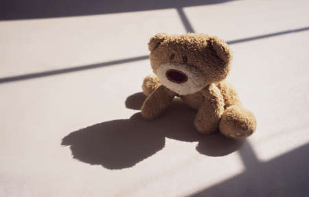 Hight key light Sad teddy bear sitting alone on white background with shadow.Lonely concept, International missing children's day.の写真素材