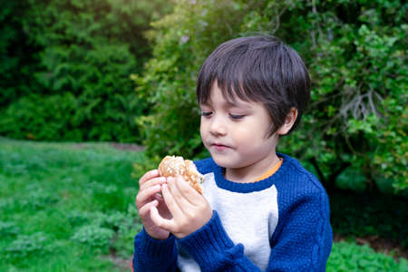 Hungry kid boy eating homemade bread sandwiches with mixed vegetables, Child siting on green grass eating his snack picnic in the park. Summer holidays in the campの写真素材