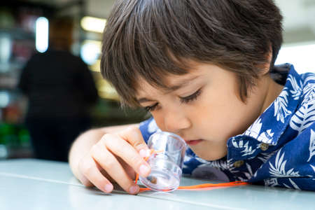 Portrait of curious kid boy looking at lady bug crawling in bug box, Summer outdoors time for...