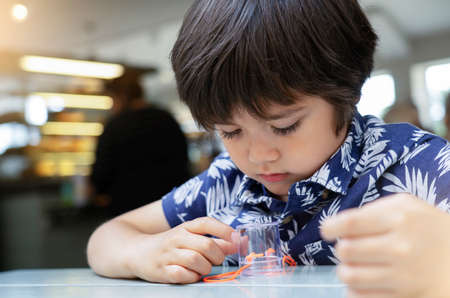 Portrait of curious kid boy looking at lady bug crawling in bug box, Summer outdoors time for...