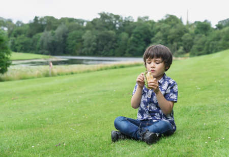 Hungry kid boy eating homemade bread sandwiches with mixed vegetables, Child siting on green grass...